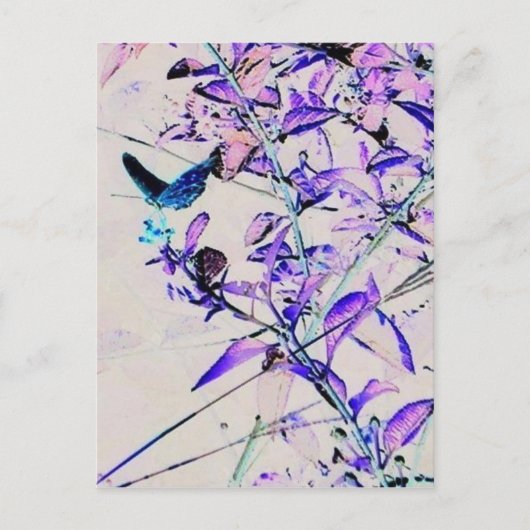 Mod Butterfly - Briefkaart (Voorkant)