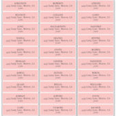 MOD ROZE TULP BRUILOFT ADRESETIKETTEN STICKER (Voorkant)