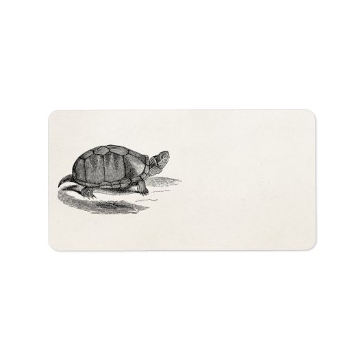 modderschildpad - reptielschildpad Sjabloon Etiket (Voorkant)