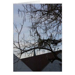 Mode de vie de la Nouvelle-Orléans