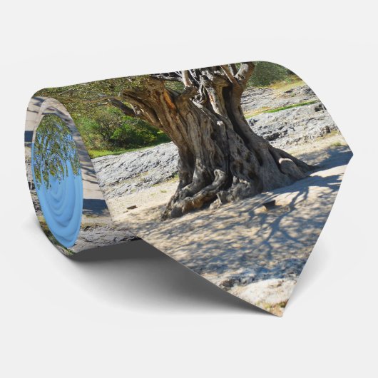 Mode oude olijfbomen stropdas (Opgerold)