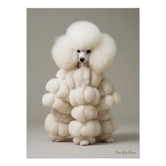 Mode Show, Poodle Dog 02 - Jonathan Bonheur Perfect Poster