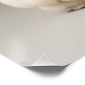 Mode Show, Poodle Dog 02 - Jonathan Bonheur Perfect Poster (Hoek)