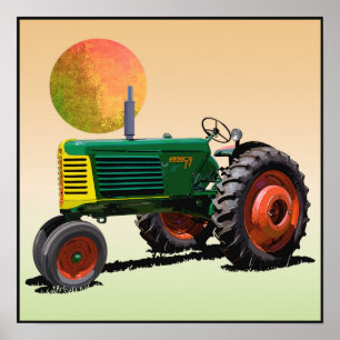 Model 77 Rijstgewassen Poster