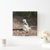 Model in het wild: White Meerkat Posing voor Camer Vierkante Klok (Huis)