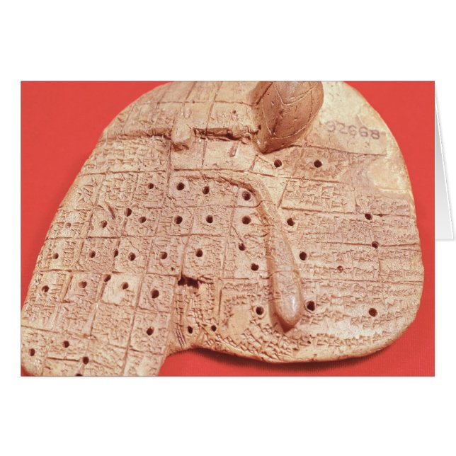 Model van een schapenlever (Voorkant Horizontaal)