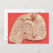 Model van een schapenlever briefkaart (Voorkant / Achterkant)