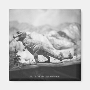 Model van tyrannosaurus rex B&W Magneet