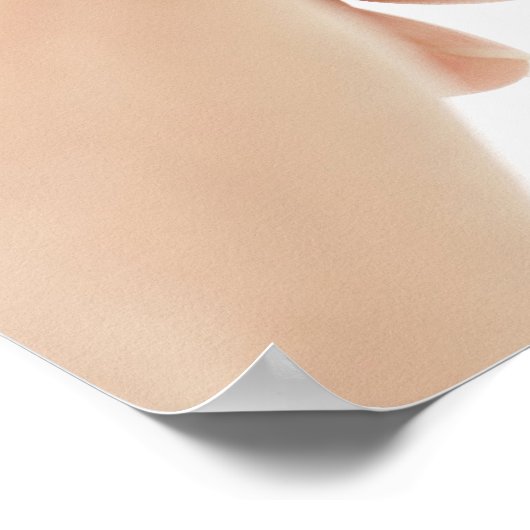 MODEL VERWIJDERD. Tandstraal. Poster (Hoek)