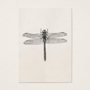 Modèle américain vintage de mouche de dragon de