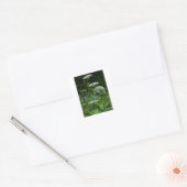 modèle autocollant carré (Enveloppe)