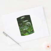 modèle autocollant ovale (Enveloppe)