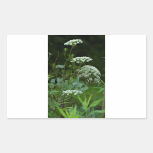 modèle autocollant rectangulaire