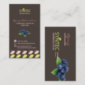 Modèle carte de visite pour Syntec Nutraceutical (Devant / Derrière)