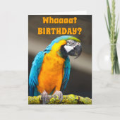 Modèle d'anniversaire pour un perroquet coloré (Devant)