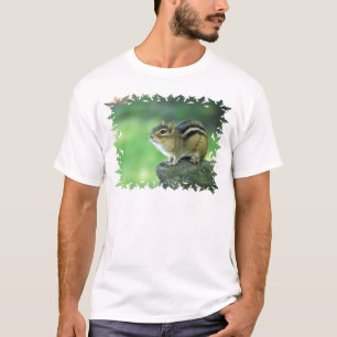 Modèle de base de T-shirt - customisé