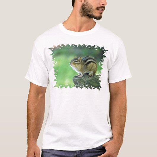Modèle de base de T-shirt - customisé (Devant)