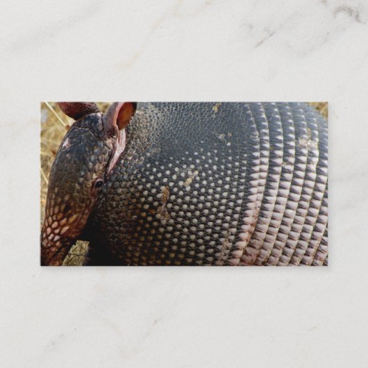 modèle de carte de visite armadillo photo (Devant)