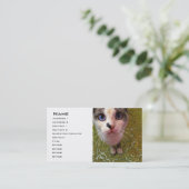 Modèle de carte de visite Blue Eyed Cat (Debout devant)