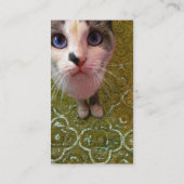Modèle de carte de visite Blue Eyed Cat (Dos)