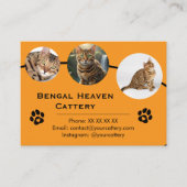 Modèle de carte de visite de chatterie de Bengal p (Devant)