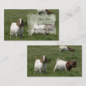 Modèle de carte de visite de chèvres (Devant / Derrière)