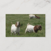 Modèle de carte de visite de chèvres (Dos)