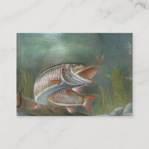 Modèle de carte de visite de MUSKIE