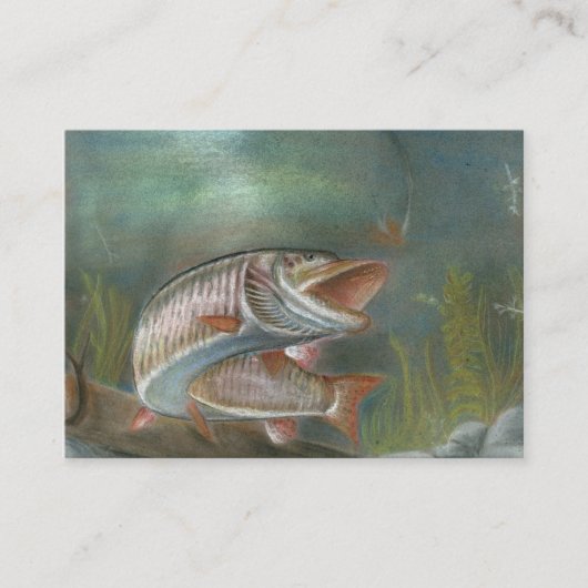 Modèle de carte de visite de MUSKIE (Devant)