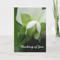 Modèle de carte "Pensées pour toi" personnalisable
