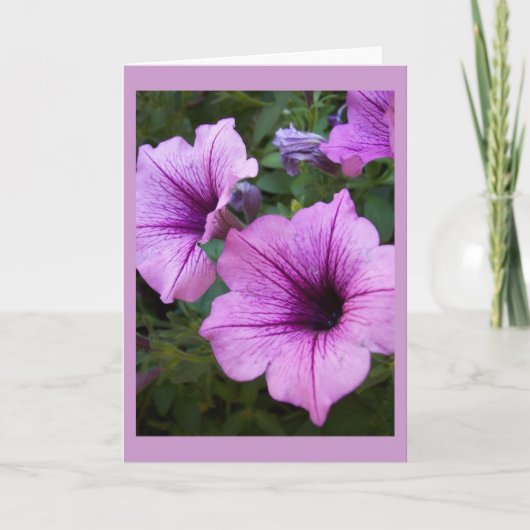 Modèle de carte Petunia (Devant)