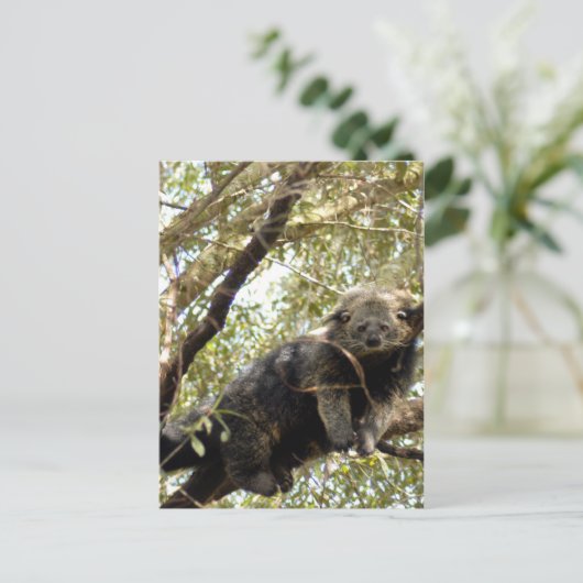 modèle de carte postale 5x7 (Debout devant)