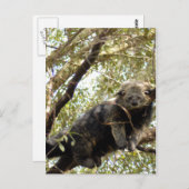 modèle de carte postale 5x7 (Devant / Derrière)