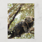 modèle de carte postale 5x7 (Devant)