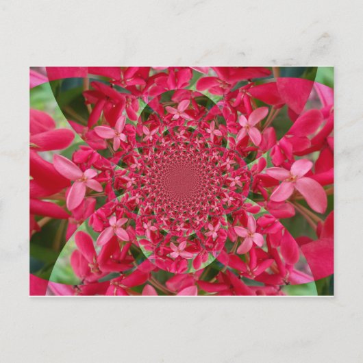 Modèle de carte postale horizontale Rouge Cramoisi (Devant)