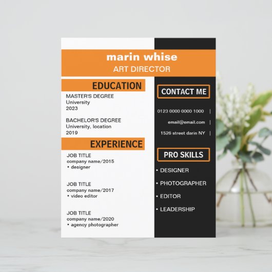 Modèle de CV professionnel (Debout devant)