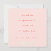 Modèle de faire-part de daisies avec bordure (Dos)