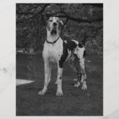 modèle de flyer de chiots à vendre avec code QR (Dos)