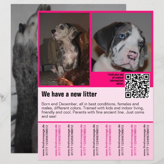 modèle de flyer de chiots à vendre avec QR code (Devant / Derrière)