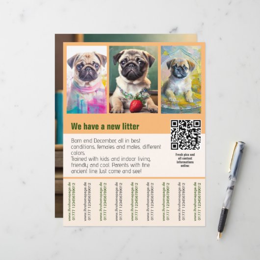 Modèle de flyer de chiots carlins à vendre code QR (Devant/Arrière en situation)
