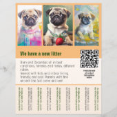 Modèle de flyer de chiots carlins à vendre code QR (Devant)