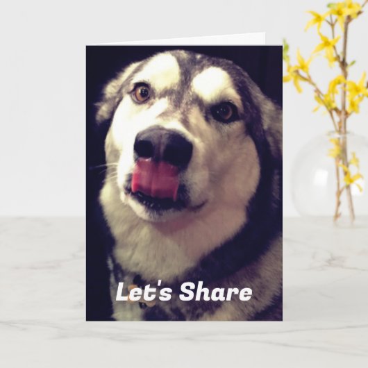 Modèle de la photo de couverture de malamut de l'A (Fleur jaune)