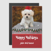 Modèle de Noël de chiot Maltais adorable (Devant / Derrière)