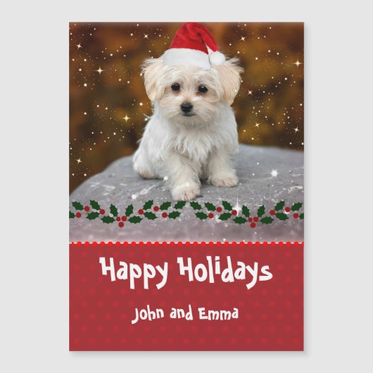 Modèle de Noël de chiot Maltais adorable (Devant)