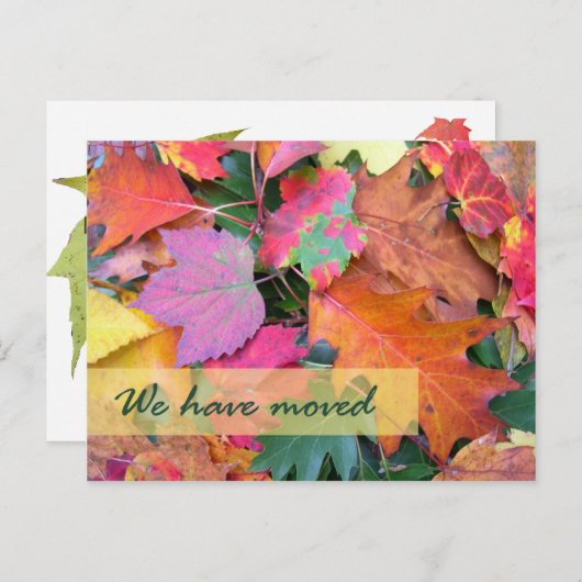 Modèle de nouvelle adresse de sol forestier (Devant / Derrière)