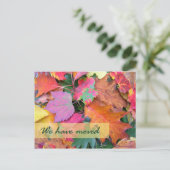 Modèle de nouvelle adresse de sol forestier (Debout devant)