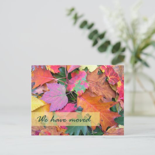 Modèle de nouvelle adresse de sol forestier (Debout devant)