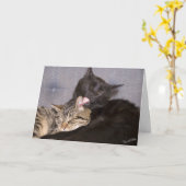 Modèle de photo de chatons mignons qui vous manque (Fleur jaune)