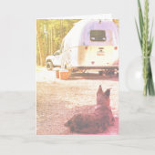 Modèle de photo de chien de campeur pensant à vous (Devant)