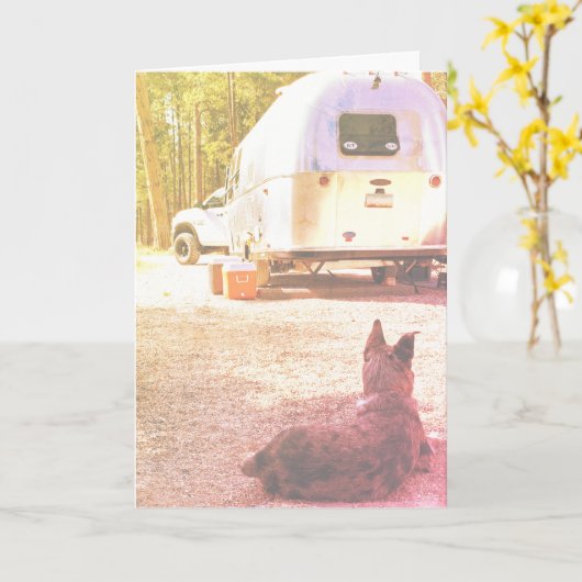 Modèle de photo de chien de campeur pensant à vous (Fleur jaune)
